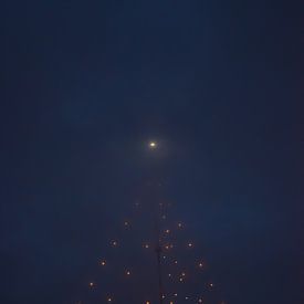 The Biggest Christmas Tree by Ingrid de Vos - Boom
