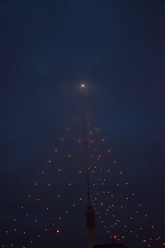 Le plus grand sapin de Noël sur Ingrid de Vos - Boom