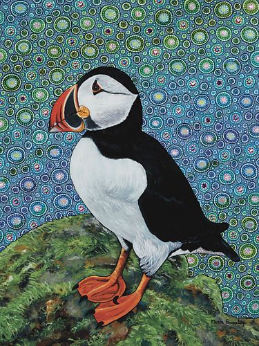 Papageientaucher auf einem Felsen , Papageientaucher auf einem Felsen