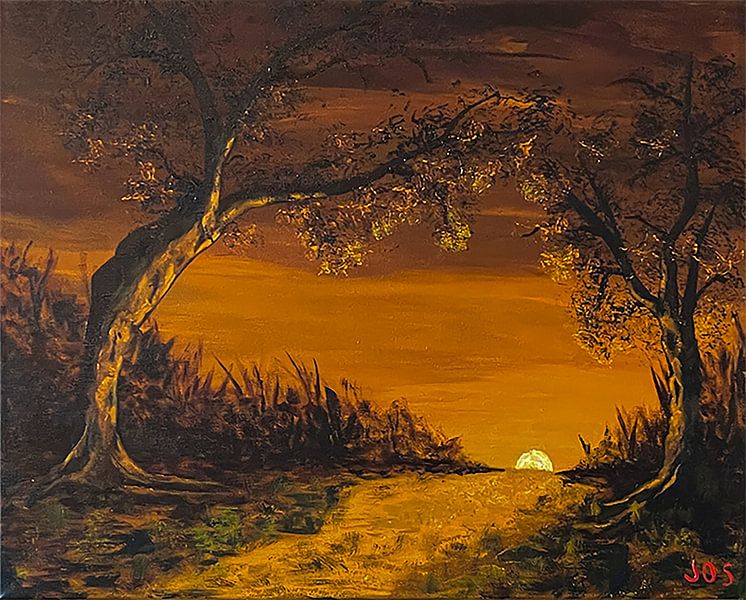 Enlightened Forest by Jos van Oorschot