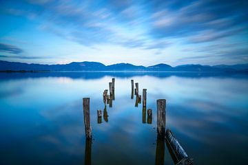 Pier remains on the Lake Massaciuccoli. Italy by Stefano Orazzini