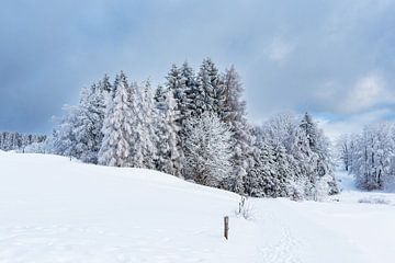 Landschap in de winter in het Thüringer Woud bij Schmied van Rico Ködder