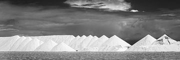 Zoutbergen op het eiland Bonair in het Caribisch gebied in zwart-wit. van Manfred Voss, Schwarz-weiss Fotografie