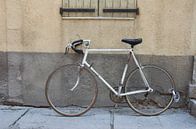 Radfahren in der Provence von Willem Holle WHOriginal Fotografie Miniaturansicht