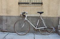 Bike in Provence