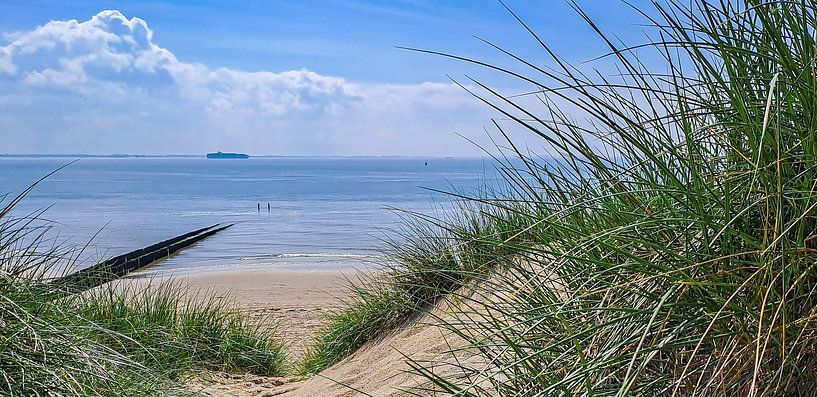 Dishoek Strand-Panorama von Niek Traas