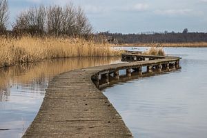 the wooden path sur Koen Ceusters