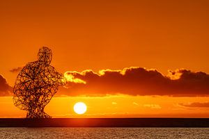 Den Sonnenuntergang beobachten