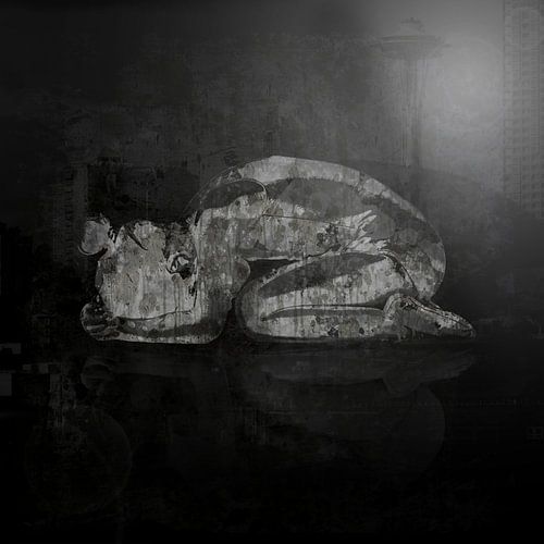 The Dancer (de danser)