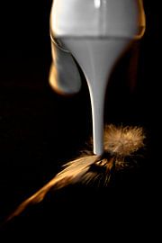 a small bird feather by Norbert Sülzner