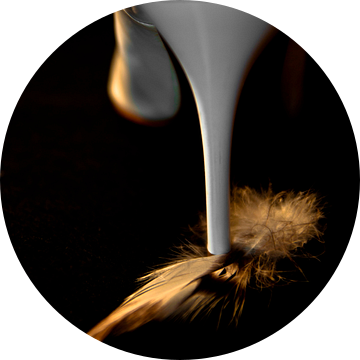 a small bird feather van Norbert Sülzner