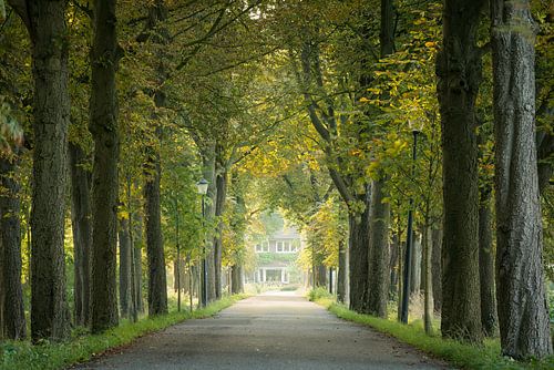 Wilhelminadreef Culemborg sur Wilco Bos