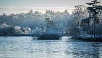Winter-Wunderland