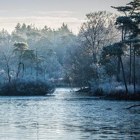 Winter-Wunderland von Diane van Veen