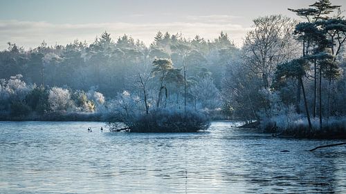 Le pays des merveilles de l'hiver sur Diane van Veen