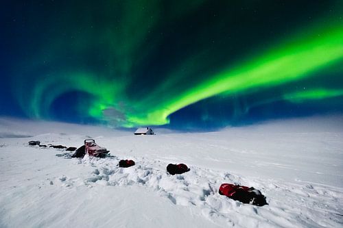 Northern lights (aurora borealis) with huskies in the snow by Martijn Smeets