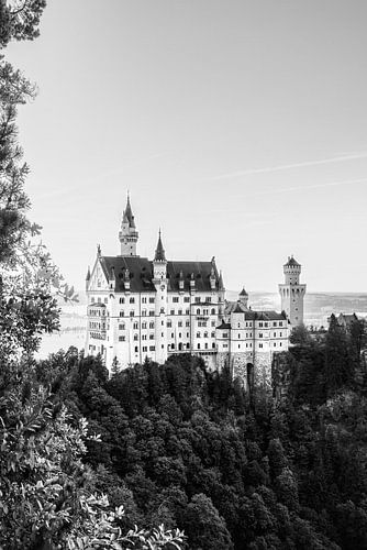 Zwart-wit foto Slot Neuschwanstein | Marienbrücke, Beieren