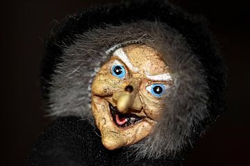 Een portret van een heks pop