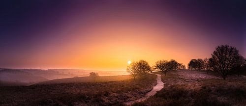 Sonnenaufgang Veluwezoom