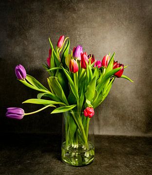 red and purple tulips with green leaf in a vase