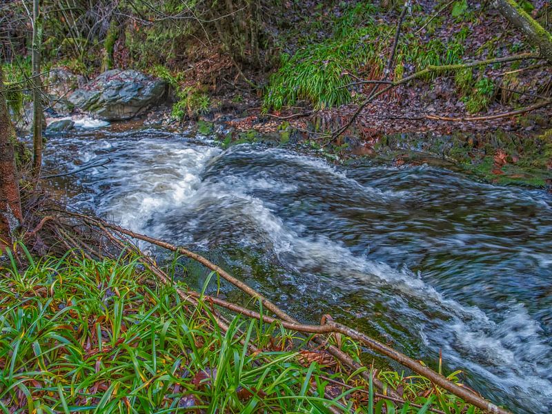 flowing river Bayehon Malmedy Belgium by Nature Life Ambience