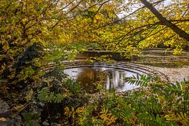 CONCEPT AUTUMN : AUTUMN ATMOSPHERE FRIEDRICHSAU - ULM by Photoart-Naegele