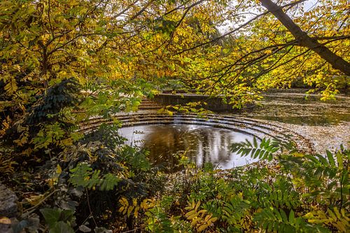 CONCEPT AUTOMNE : AMBIANCE AUTOMNALE FRIEDRICHSAU - ULM
