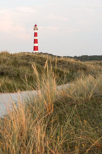 Vuurtoren van Ameland met pad door duin landschap