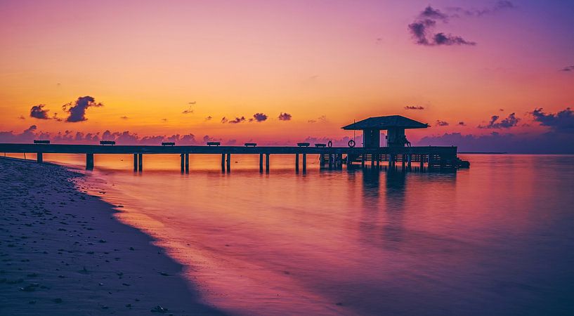 The colors of creation by Loris Photography