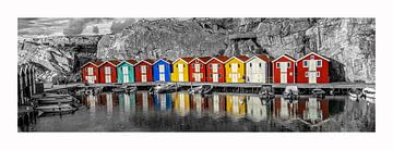 Color houses of Sweden van Dmm Fotografie