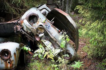 Oldtimer into the woods of Sweden von marcel schoolenberg