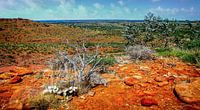 Uitzicht over de vallei in Watarrka Nationaal Park, Australie van Rietje Bulthuis thumbnail