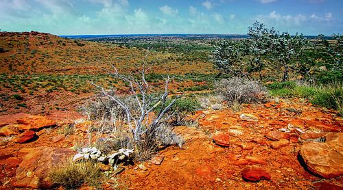Uitzicht over de vallei in Watarrka Nationaal Park, Australie
