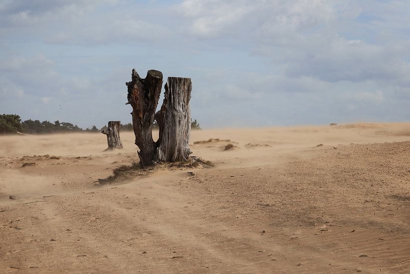 La tempête de sable par Erwin Pieters