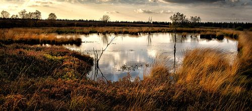 Le soir dans les Fagnes