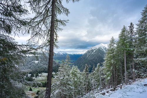 Treeline Austria