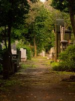 Tokioter Friedhof