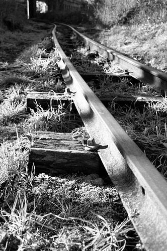abandoned track