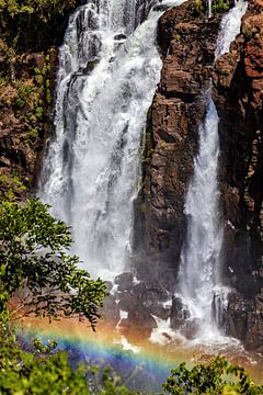 Die Iguazu Wasserfälle zwischen Argentinien und Brasilien