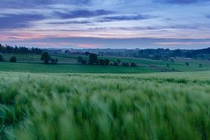 Vlaamse Ardennen van Steven Hendrix