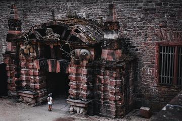 Fearless | Schloss Heidelberg | Allemagne Photoprint sur Rebecca van der Schaft