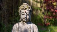 Thai Boeddha.