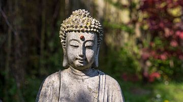 Thai Boeddha.