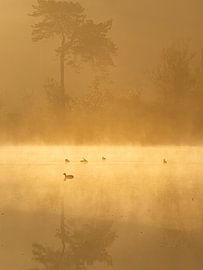 Silence by Angela Kraan