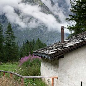 Hut in de Alpen van Geerke Burgers