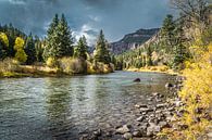 De Rio Grande in Colorado van Marja Spiering thumbnail