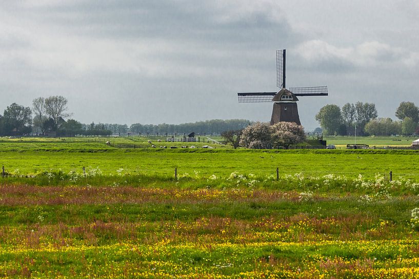 Typisch Nederland van Brian Morgan