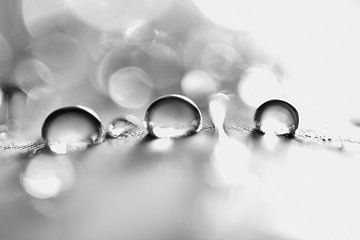 Black and white drops by Carla Mesken-Dijkhoff