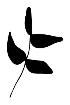 Botanische basis. Zwart-wit tekening van eenvoudige bladeren nr. 8 van Dina Dankers