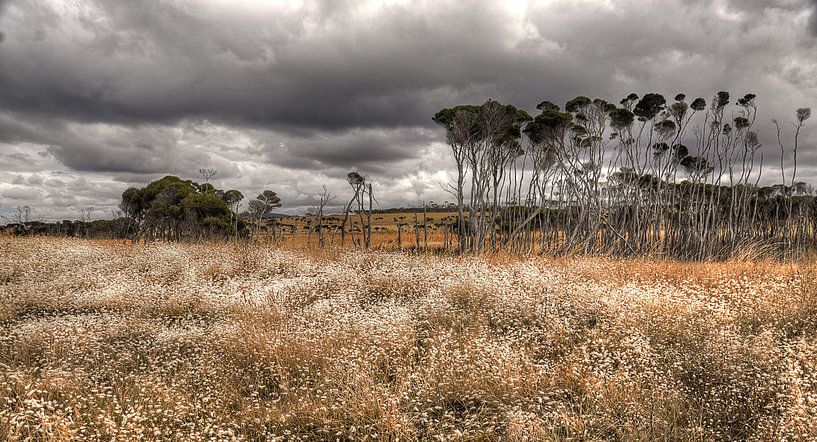 Tasmania - Australia by Arthur de Rijke